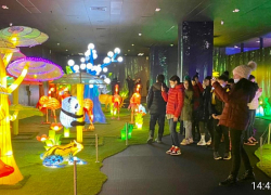 Около 500 сочинских школьников посетили на каникулах  парк иллюминаций
