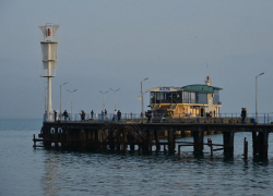 В Абхазии спасли беременную собаку, упавшую в Черное море