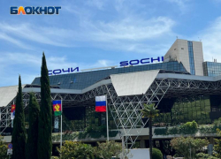 В аэропорту Сочи задержали экстремиста, оскорблявшего полицейских