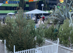 В 34-х местах Сочи откроются елочные базары