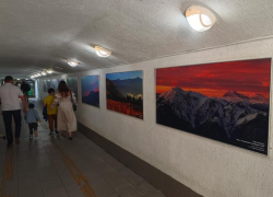 Фотовыставка «Четыре сезона красоты» открылась в Сочи