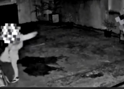 В Сочи мужчина избил старую собаку на глазах у детей