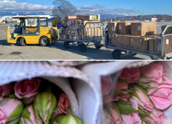  71 тонну цветов перевезли через аэропорт Сочи