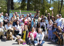 Мир! Труд! Гав!