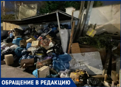 Российская путешественница назвала Сочи помойкой 