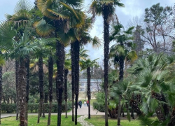 Доброе утро, Сочи 