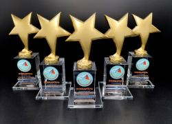 Разнообразные наградные подарки на любой вкус