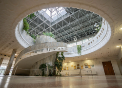 На ремонт закрыли музей «Дерево Дружбы» в Сочи