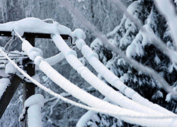 В ближайшие часы в предгорных районах Сочи ожидается сильное налипание снега на проводах и деревьях