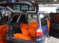  Тонну мандаринов пытались ввезти незаконно из Абхазии через Сочинскую таможню