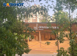 Альпака парк открылся в «Ривьере» Сочи