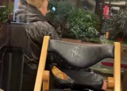 Мое сердце разбилось: бездомный кот, которого приютила кофейня в Сочи, и дедушка покорили Интернет