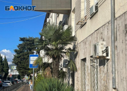 В Сочи задержали грабителя-неудачника, потерявшего паспорт