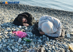 Стало известно, в каком районе Сочи построят вытрезвитель
