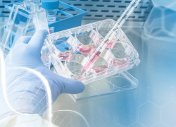 Что нужно для того чтобы сделать тест ДНК на отцовство в Сочи?