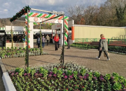 На территории Сочи после модернизации открылась четвертая ярмарка 