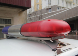 В Сочи росгвардейцы задержали находящегося в розыске вора