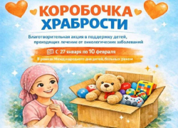Игрушки и канцелярию собирают онкобольным детям в Сочи