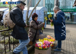 Цены на тюльпаны взлетели в три раза в преддверии 8 Марта в Сочи