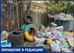 «Сочи – рассадник крыс и тараканов»: горожанка показала нелицеприятную сторону курорта