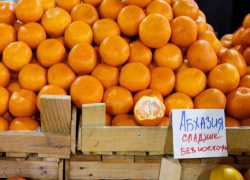 Абхазия увеличила экспорт мандаринов в Россию