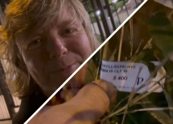 Рыжего уроженца Сочи из "Иванушек" шокировали кусты за миллион