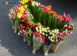 78 тонн цветов к 8 марта отправили через аэропорт Сочи 