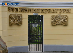 «Ночь искусств» пройдет в парке «Южные культуры» в Сириусе