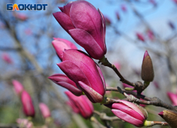 Синоптики рассказали, какая погода будет в Сочи в короткую рабочую неделю