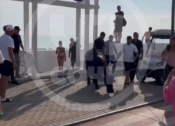 Истощенного буйвола принесло штормом к берегу Сочи из Абхазии