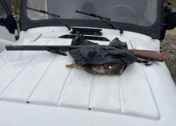 Браконьеров задержали в Сочинском нацпарке