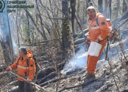 18 гектаров лесной подстилки сгорело на склоне горы Кума в Сочи