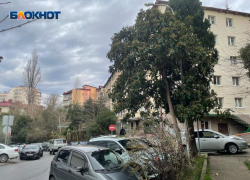 С февраля ещё на 36 улицах и переулках Сочи введут платные парковки