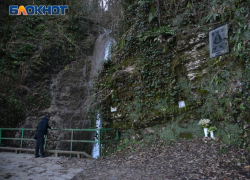 Генпрокуратура насчитала ущерб природе в 3 миллиарда рублей из-за нарушений в Сочинском нацпарке