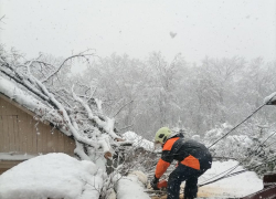 Вызволили из снежного плена
