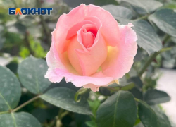 Сочи вошел в ТОП-5 самых популярных поездок россиян на 1 мая