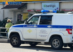 Полиция Сочи разыскивает хозяина агрессивного алабая, напавшего на женщину с собакой