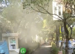 "Берегите ноги и лёгкие": Приморский парк в Сочи охвачен пыльной бурей