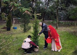 В «Ривьере» Сочи высадили хвойные деревья в знак единства народов