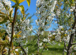 Доброе утро, Сочи