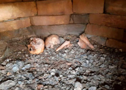 Массовое захоронение нашли в горах Сочи