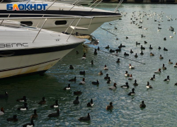 Вода в Черном море у берегов Сочи прогрелась до +14 градусов