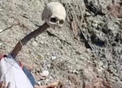 На пляже в Сочи найден человеческий череп 