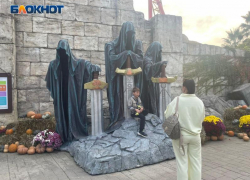 В 2025 году Сочи Парк увеличил доходы MICE-сегмента на 19%