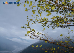 Обвиняемому в краже земель нацпарка Сочи отказали в смягчении наказания