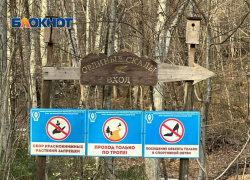 65 тысяч человек посетили Сочинский национальный парк в 2024 году