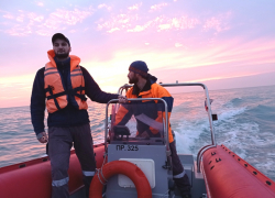 Ложная тревога