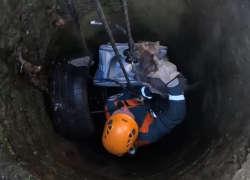 Спасатели Сочи достали маленькую собаку из канализационного люка