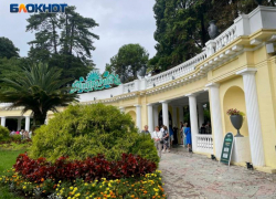 Более полумиллиарда рублей заработал нацпарк Сочи на туристах за лето