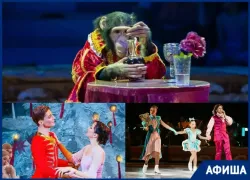 Шоу «Цирк в гостях у сказки», премьера от Татьяны Навки и «Щелкунчик»: афиша новогодних мероприятий в Сочи